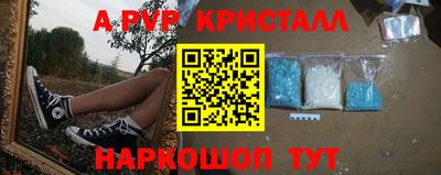 гидра Долгопрудный