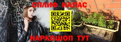 гидра Долгопрудный
