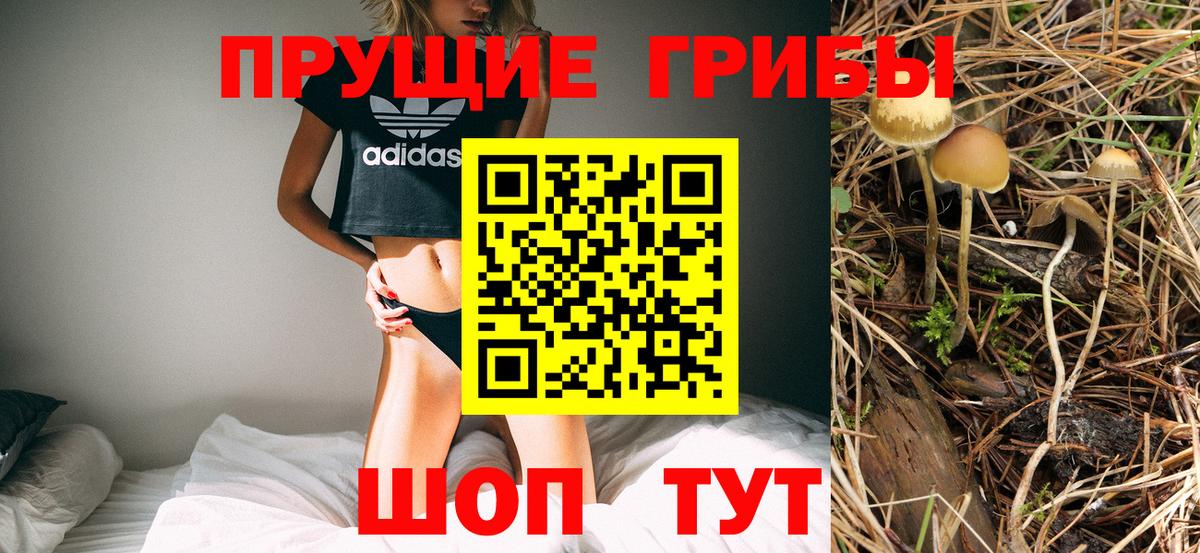 Псилоцибиновые грибы Cubensis  Псилоцибиновые грибы Magic Shrooms  Вход с VPN  где продают   Белебей 